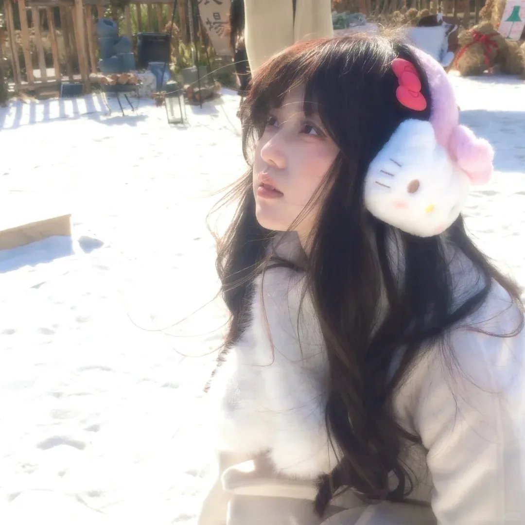 灰姑娘的故事:圣诞愿望